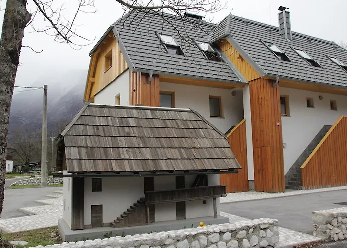 Apartment Mt Cezsoca